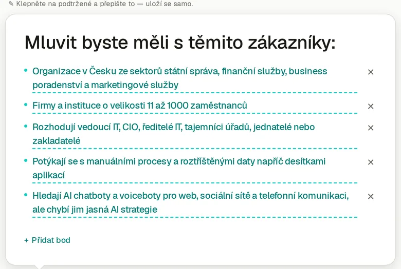 Ideální zákazník od AI: organizace ze státní správy, finančních služeb a poradenství, 11 až 1000 zaměstnanců, rozhodují ředitelé IT a jednatelé. Každý bod jde přepsat nebo smazat